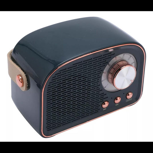 Radio parlante m4
